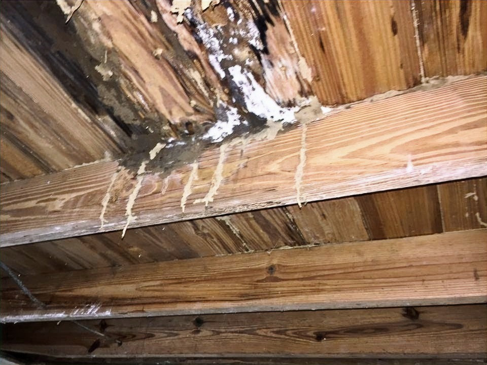 What is a Termite Letter Real Estate Transfer ReFinance in