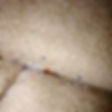 macon-bed-bugs_edited.jpg