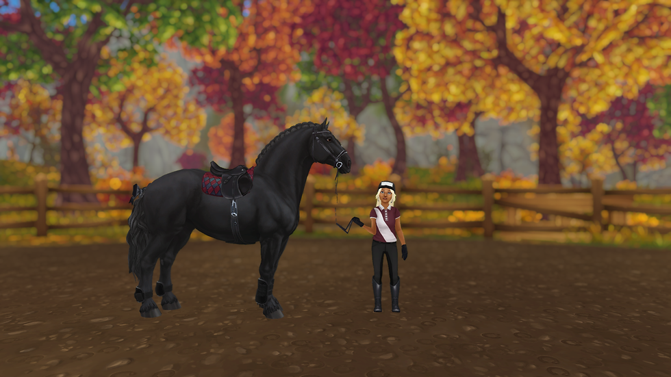 StarStable_2024-01-10_16-56-31.png