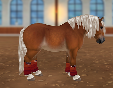 StarStable 2024-06-04 21-47-45.png