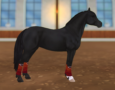 StarStable 2023-08-18 00-38-15.png