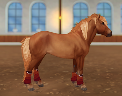 StarStable 2023-08-17 22-22-37.png