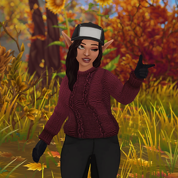 StarStable_2024-08-19_15-15-42.png