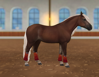 StarStable_2023-12-17_21-57-19.png
