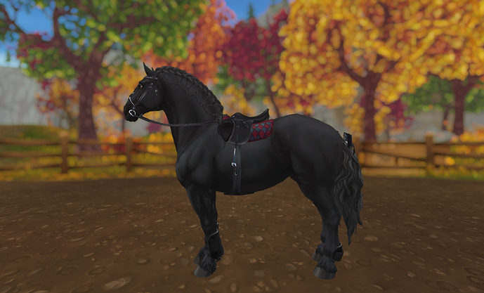 StarStable_2024-01-10_16-58-02.png