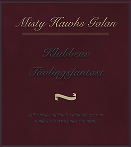 KTavlingsfantast.png