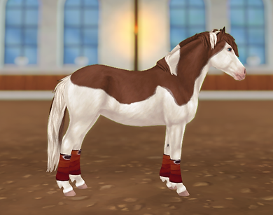 StarStable 2023-08-18 01-08-29.png