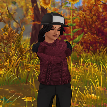 StarStable_2024-08-19_15-09-03.png