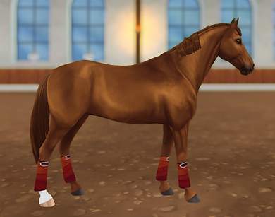 StarStable 2023-08-17 04-22-51.png