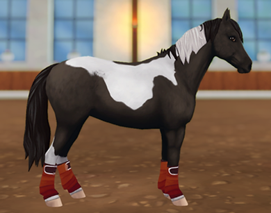StarStable 2023-08-18 01-26-50.png