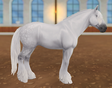 StarStable 2023-08-17 22-57-34.png