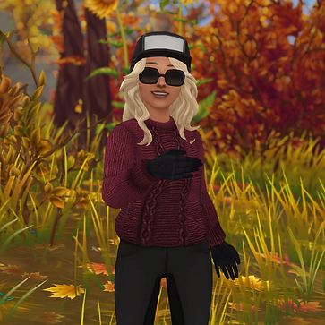 StarStable_2024-08-19_15-14-31.png