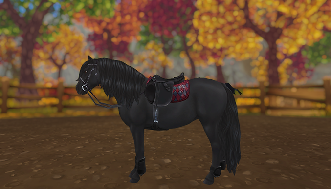 StarStable_2024-01-10_16-51-23.png