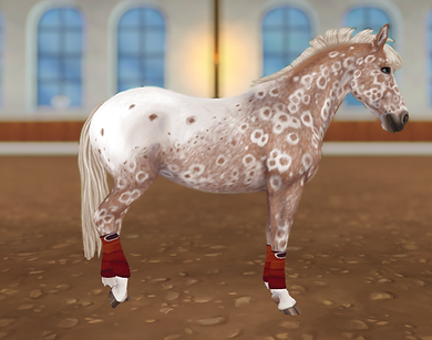 StarStable_2023-12-17_21-44-27.png