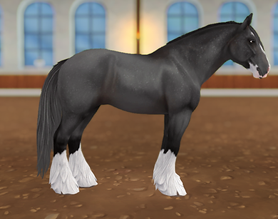 StarStable_2023-12-17_21-50-35.png