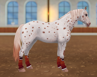 StarStable_2023-12-17_21-40-10.png