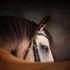 Saddle Up for Wellness: Exploring the Mental Health Benefits of Equine Therapy