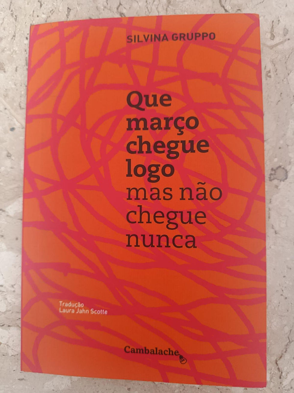 Silvina Gruppo escreve um romance com a linguagem e ansiedade moderna