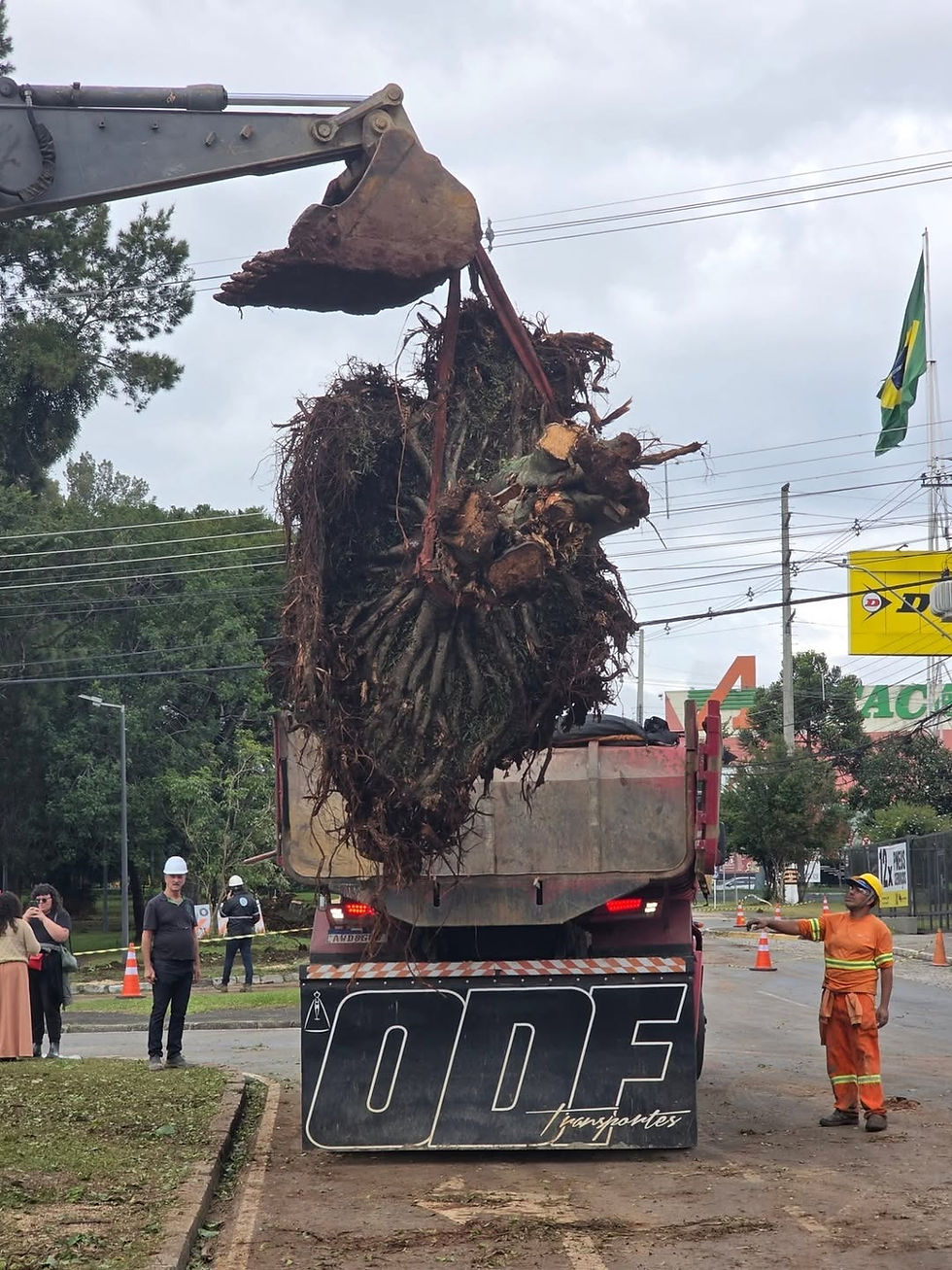 OPINIÃO I Quem pode lutar pelo meio ambiente?