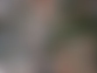 Prefeitura permite estacionamento e busca vender terreno em Área de Preservação Ambiental 