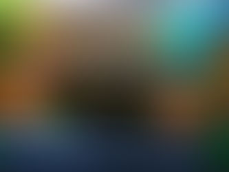 A moradia e o papel das Comissões de Soluções Fundiárias