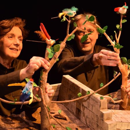 Inséparables (+2,5 ans)