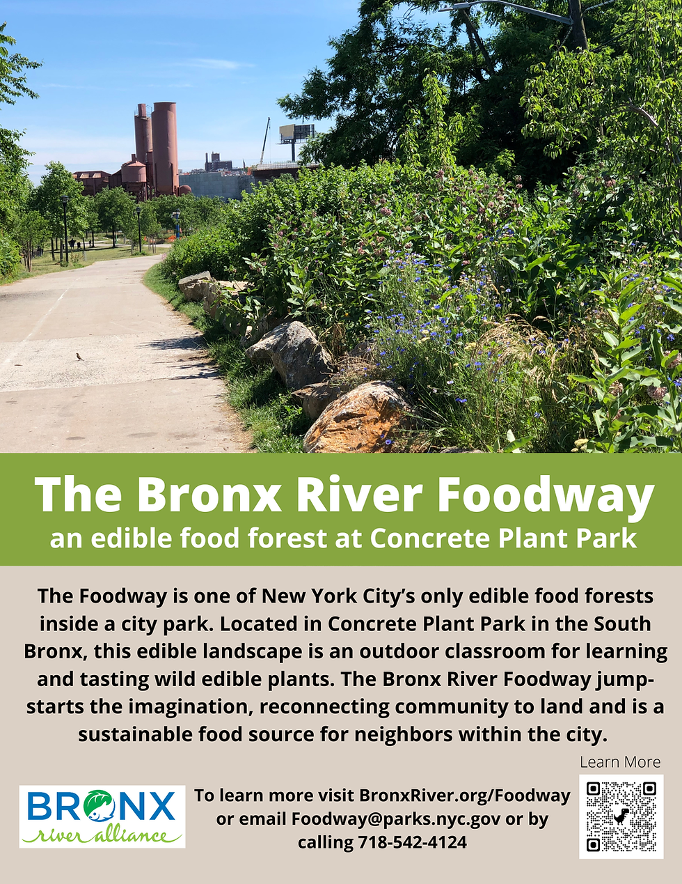 Foodway 1 pager (updated 2-17-26).png