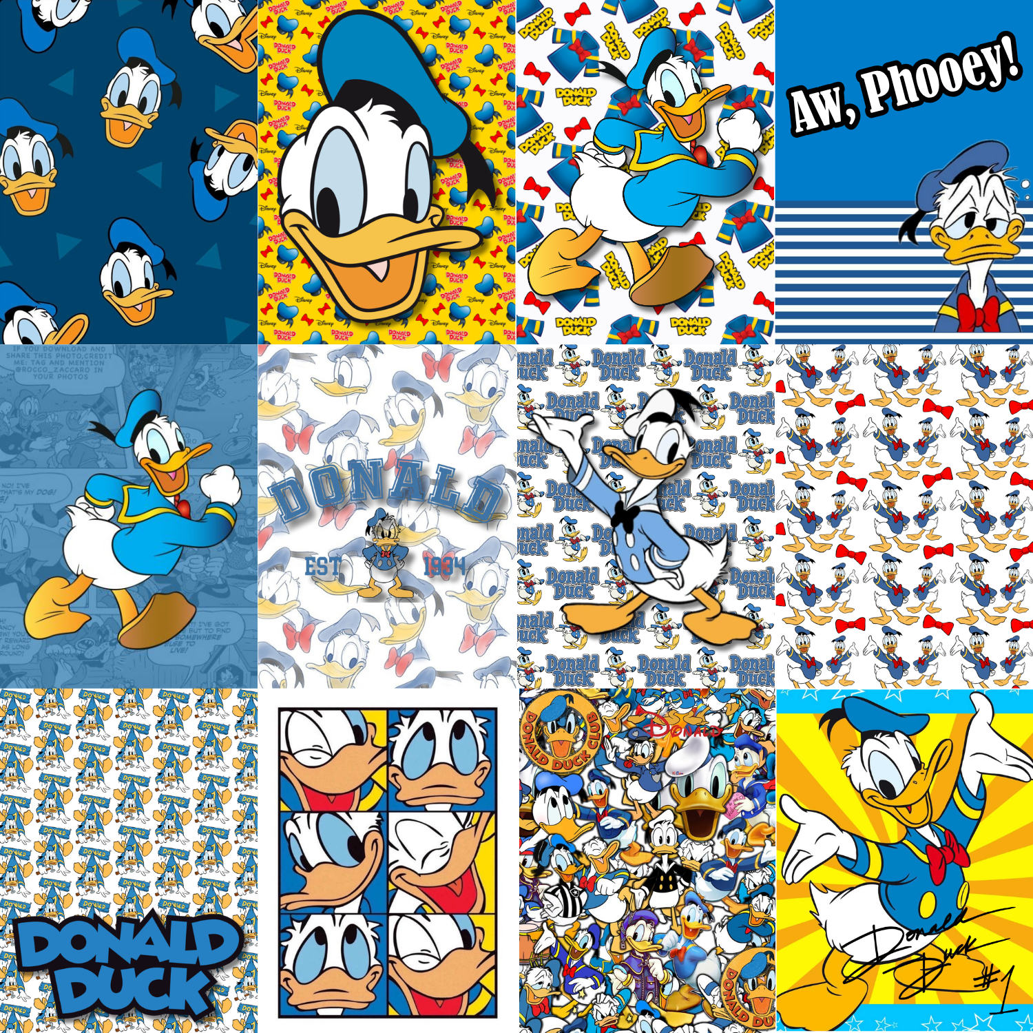 Donald Duck Journal Card Sheet