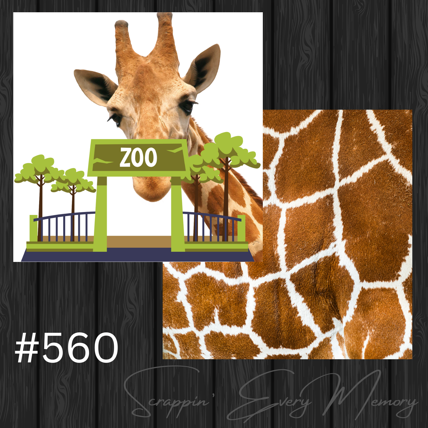 Zoo #560 Coordinating Scrapbook Paper S