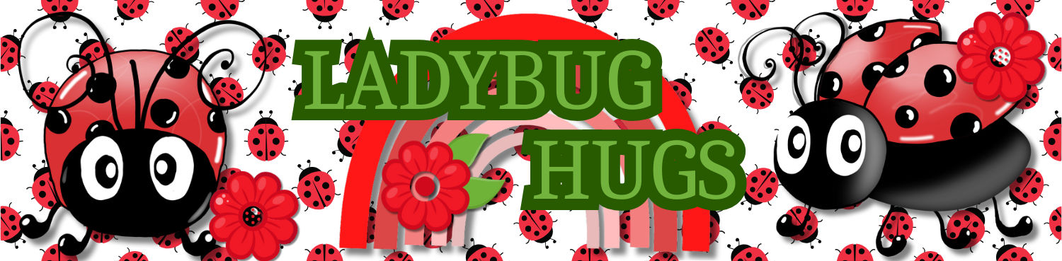 Ladybug Hugs Jumbo Border