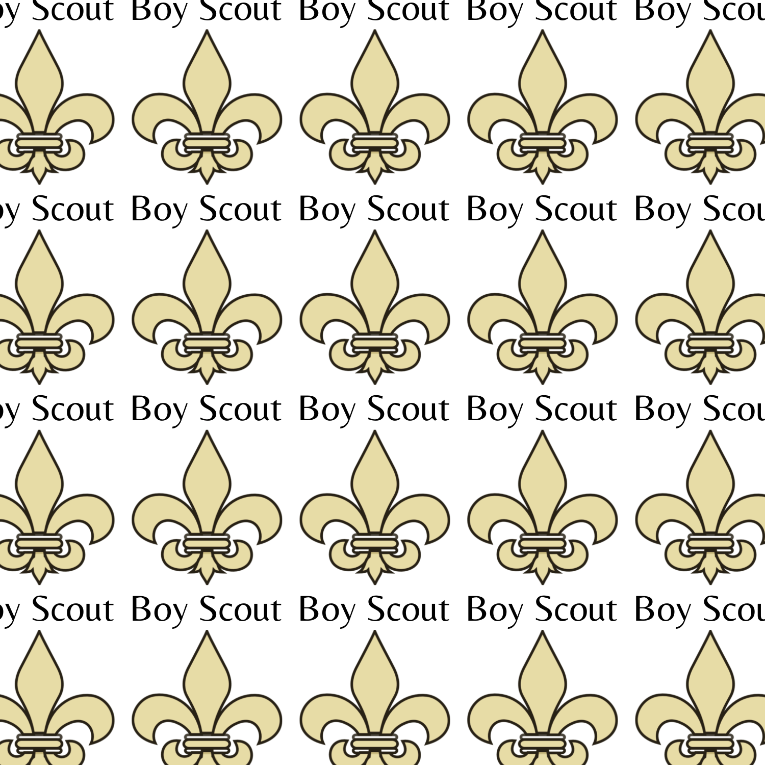 Boy Scout Scrapbook Paper 12x12