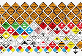 WhatsApp Image 2026-02-04 at 13.50.15.jpeg