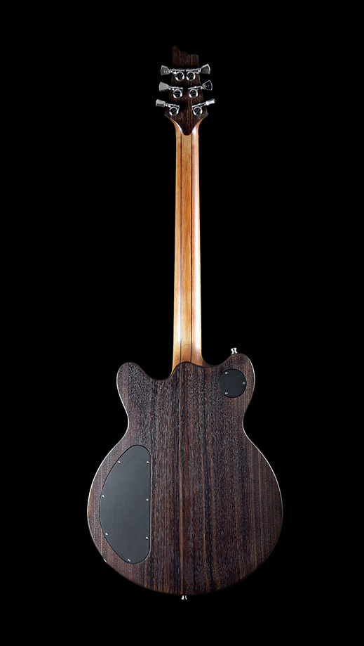 Taisto Guitars Back.jpg