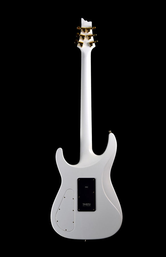 V25-FR Desire Floyd Rose guitar with HH configured pickups. First guitar customized for Jimmy Westerlund.