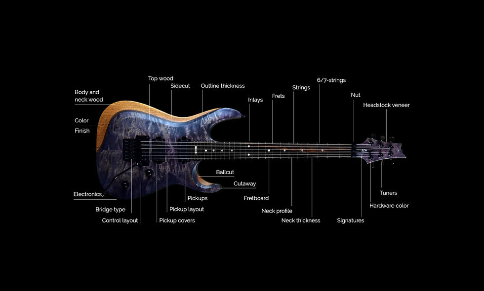 Guitar customization topics shown with Taisto Guitars V25-FR Berry custom guitar
