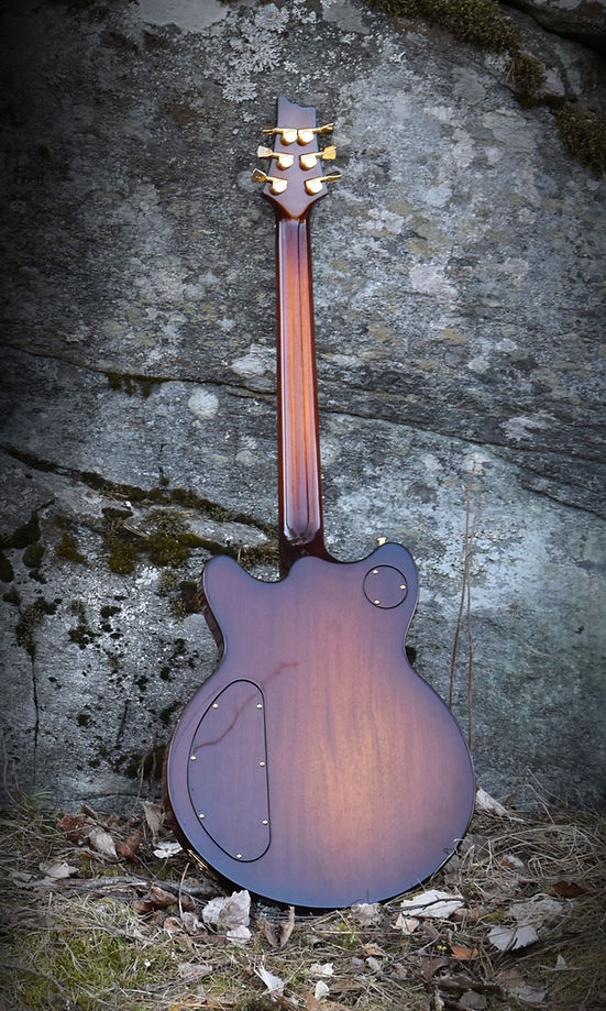 Taisto Guitars Back.jpg