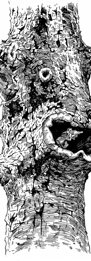 Tree trunk face 2