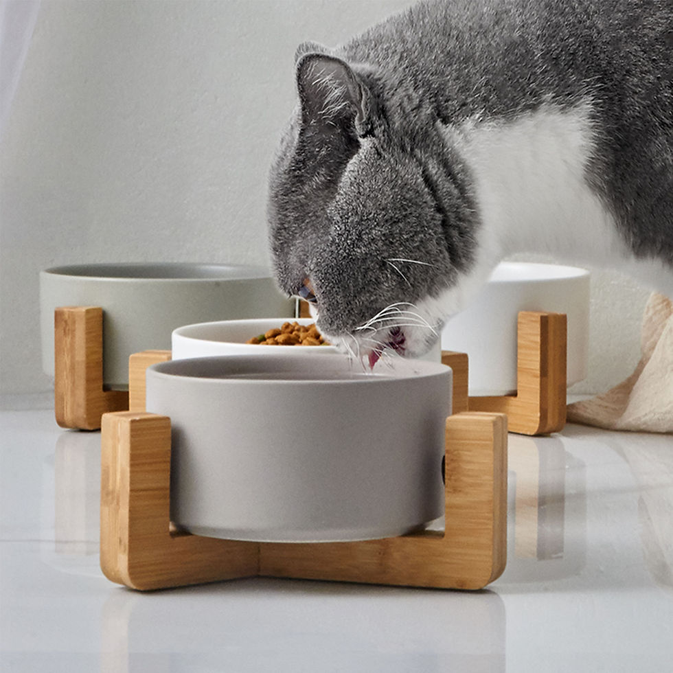 Miniaturbild: SNOEKIE Doppelnapf-Set aus Porzellan mit Bambus-Ständer