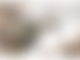 "Sociedades y animales en la arqueología local: un encuentro con la ciencia"