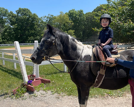 Maggie, Sagamore Hills Stable (1).jpeg