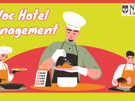 B Voc Hotel Management Scope at NIILM University – Career & Salary Insights
