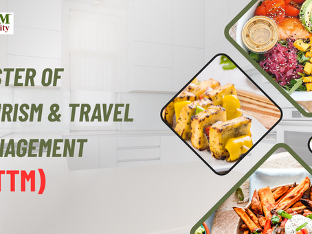 Master of Tourism & Travel Management in Haryana | MTTM NIILM University Program