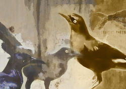 received_10154985600303616