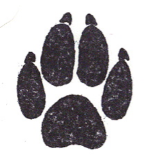 Gracy Signature