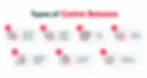 Type of Casino Bonuses