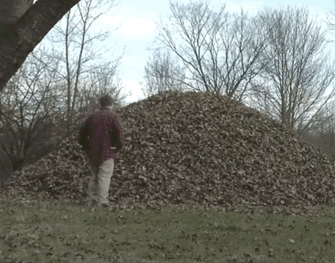 Fall into savings.gif