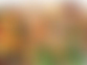 A importância das fibras na alimentação