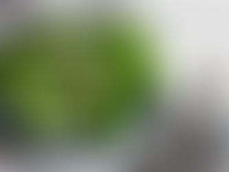 7 benefícios das folhas verdes escuras para a saúde