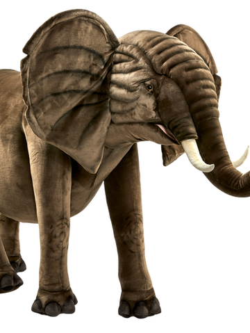 Afrikanischer Elefant