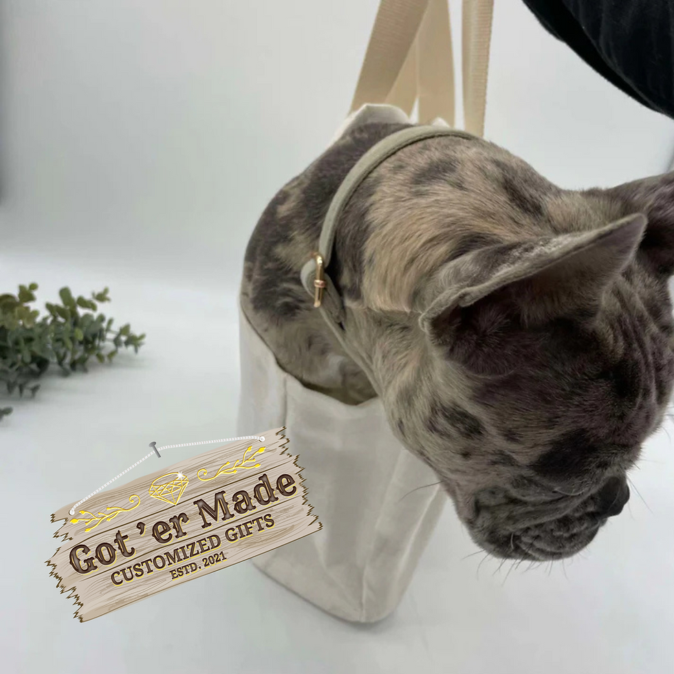 Thumbnail: PET CARRIER
